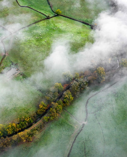 Greenhouse gas emissions